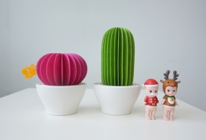 Piozio Aroma Diffuser Cactus