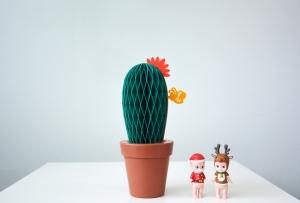 Piozio Cactus Pot