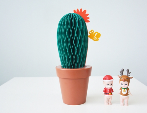 Piozio Cactus Pot